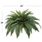 UV Boston Fern Plant: Faux Greenery, with Silk Fronds by Floral Home&#xAE;